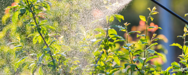 engrais foliaires à base d'oligo éléments