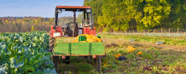 agriculture biologique